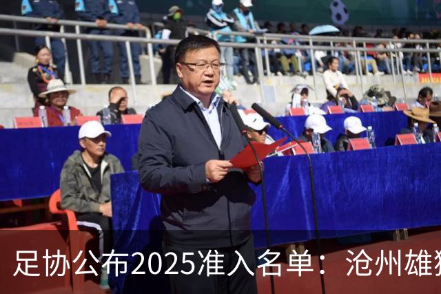 足协公布2025准入名单：沧州雄狮、广州队无缘